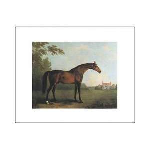Horse Poster Print 