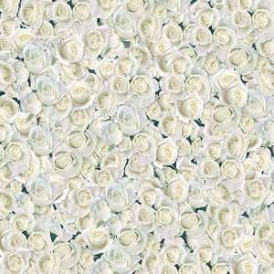  White Roses Scrapbook Paper Arts, Crafts & Sewing