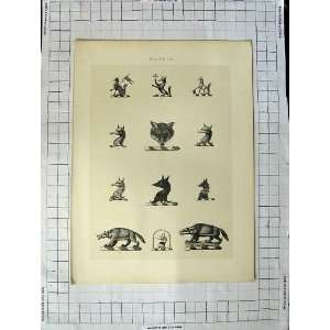  A Plate Of Heraldry Crests C1790 C1900 Fox Animals: Home 