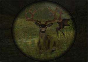   Hunt 2005 PC CD 9 types of bucks gun hunting trap simulation game