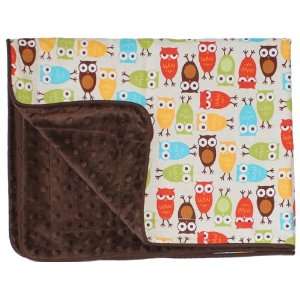  Baby Blanket in Mod Owls on Brown Dimple Dot Minky   Great 