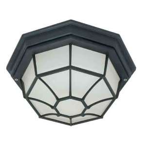   60/536 1 Light Textured Black Outdoor Ceiling Light: Home & Kitchen