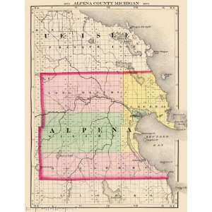  ALPENA COUNTY MICHIGAN (MI) MAP 1873