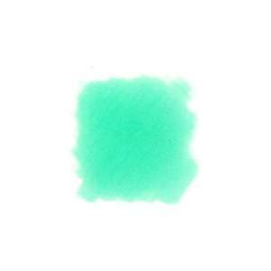    Spectrum Green    Various Ink Refill (25 ml) Arts, Crafts & Sewing