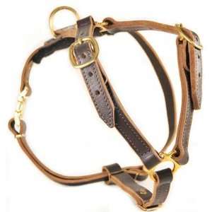  Tylers Choice Leather Dog Harness: Pet Supplies