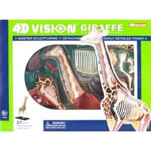  4D Vision   Giraffe Anatomy Kit (Science) Toys & Games