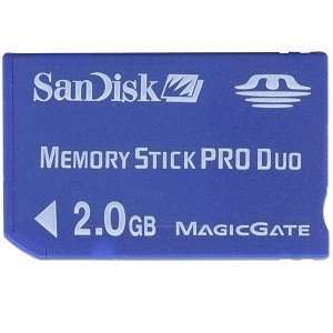  SanDisk 2GB Memory Stick PRO Duo Memory Card: Electronics