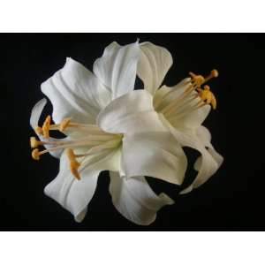  Double White Lily Flower Hair Clip 