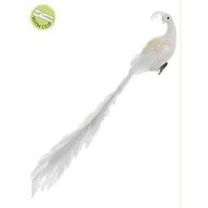  22 Regal Peacock White Long Closed Tail Bird Clip On 