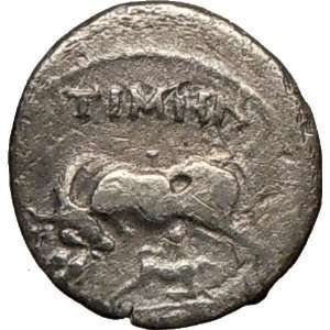 APOLLONIA in ILLYRIA 80BC Rare Authentic Ancient Silver Greek Coin Cow 