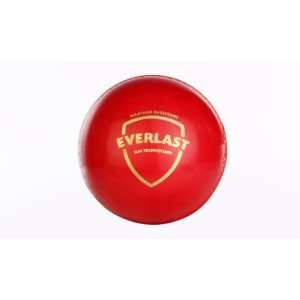  Everlast PVC Red Ball