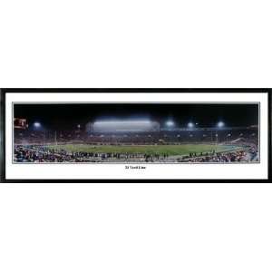  Chicago Bears 21 Yard Line Soldier Field Panoramic Sports 