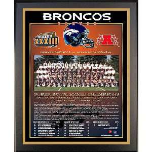 Healy Denver Broncos Super Bowl Xxxiii Champions 13X16 Team Picture 
