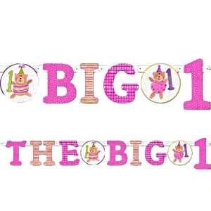  Pink The BIG 1 Birthday Banner  1st Birthday Banner 