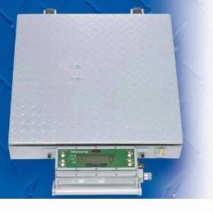  Intercomp CW250 100167 Platform Scale with Indicator 300 x 
