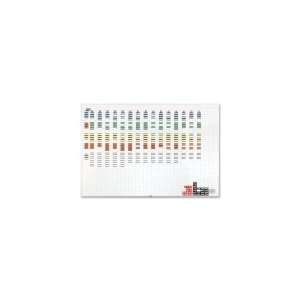  Magna Visual Magnetic Work Plan Kit: Office Products