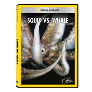  National Geographic Squid vs. Whale DVD R Software