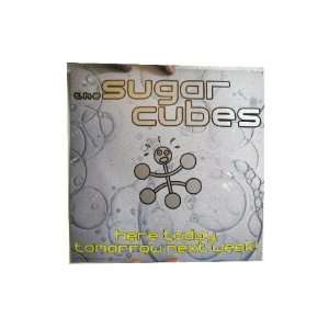  The Sugar Cubes Poster Flat Here Today Tomorrow Next 
