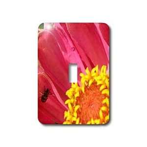   Macro Photography   Light Switch Covers   single toggle switch Home