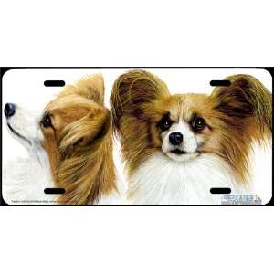   Duo Dog Art License Plate by Robert J May from Airstrike: Automotive
