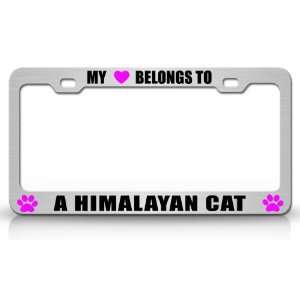 MY HEART BELONGS TO A HIMALAYAN Cat Pet Steel Metal Auto License Plate 