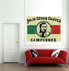 JULIO CESAR CHAVEZ BOXING GIANT PICTURE POSTER B483