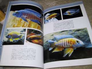 Fish Book P Malawian Cichlid Tropical Africa  