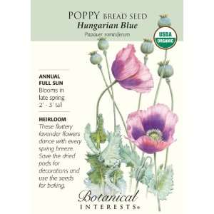 Hungarian Blue Poppy Bread Seed   250 mg   Organic Patio 