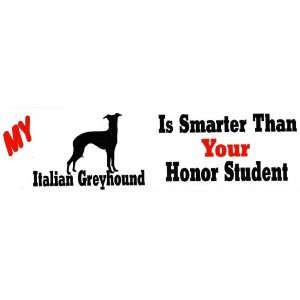   Italian Greyhound is smarter than your honor student 