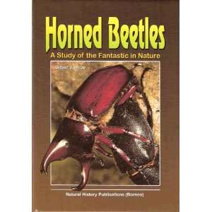  Horned Beetles A Study of the Fantastic in Nature 
