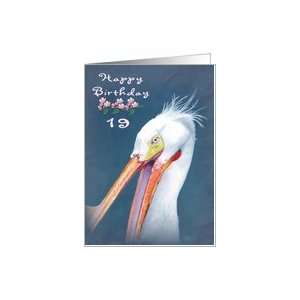 Happy 19th Birthday Wild Pelican Card Toys & Games