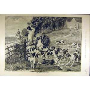   1889 Derby Horse Rider Post Hounds Puppies Hunt Print: Home & Kitchen