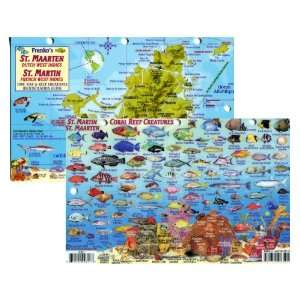  St Martin, St Maarten Fish Id Card with Island Map 8.5 in 
