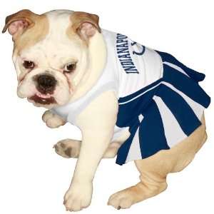   First Indianapolis Colts Pet Cheerleader Uniform: Sports & Outdoors