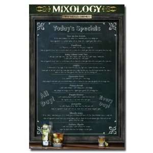  Mixology Mixed Drinks Recipies Cocktails Poster 9491