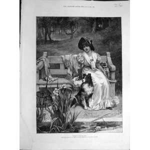    1886 Room For Two Morgan Lady Bench Dogs Park Print