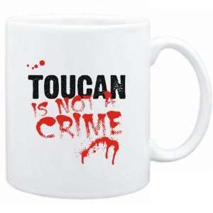   White  Being a  Toucan is not a crime  Animals