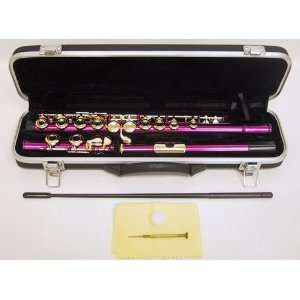  Hot Pink/Gold Flute with Case Musical Instruments