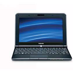 Toshiba Mini Intel Atom N450 1.66 GHz 160GB Netbook (Refurbished 