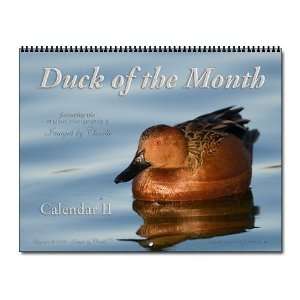  12 Ducks Photo Teal Mallard Duck Animals Wall Calendar by 