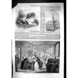  1861 Printing office Victoria Press Coram Looty Dog Pekin 