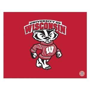  Wisconsin Badgers Mascot Canvas Art Toys & Games