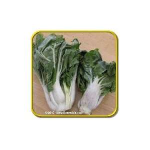  Wong Bok   Chinese Cabbage Seeds   Jumbo Seed Packet 