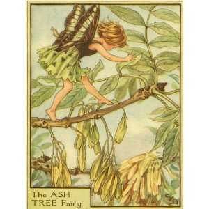  The Ash Tree Fairy Canvas Reproduction
