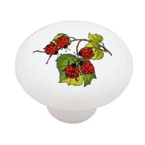  Ladybug Branch Decorative High Gloss Ceramic Drawer Knob 