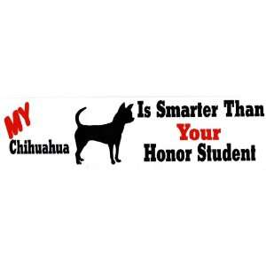    My Chihuahua is smarter than your honor student 