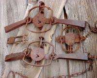   Old Steel Animal Traps Jump Long Spring Victor NewHouse WallHangers NR