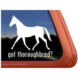  Got Thoroughbred? Horse Trailer Vinyl Window Decal Sticker 