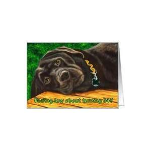  Funny Birthday ~ 34 Years Old ~ Labrador Dog Card: Toys 
