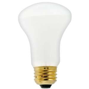 Satco S4976 40W 120V K19 White E26 Medium Base Incandescent light bulb